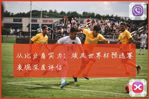 从比分看实力：埃及世界杯预选赛表现深度评估