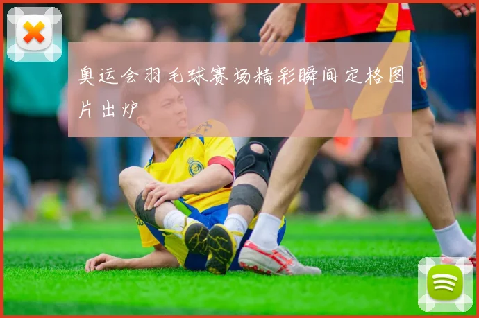 奥运会羽毛球赛场精彩瞬间定格图片出炉