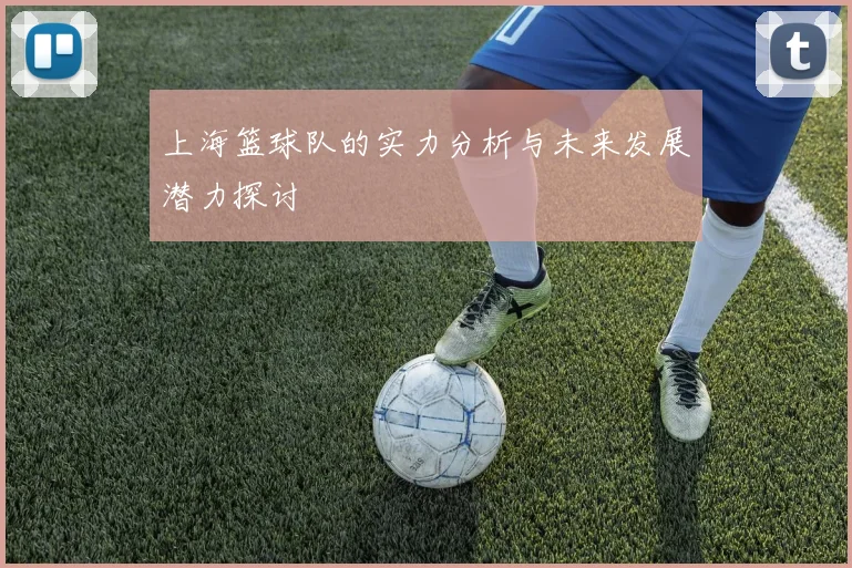 上海篮球队的实力分析与未来发展潜力探讨